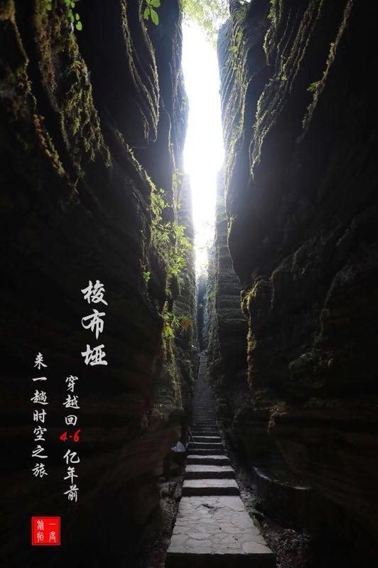 手机怎么改变返回键