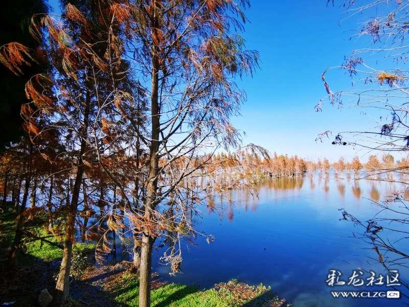 凭啥“大龄女性被挑拣”,而男的就是“四十一枝花”?-专注问答,解决你的问题